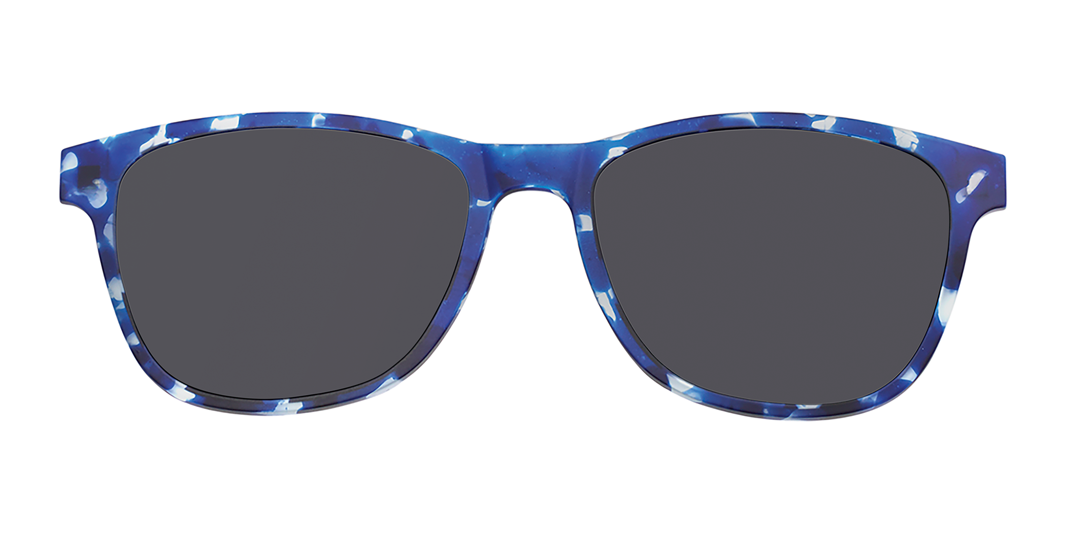 Blue Tortoise