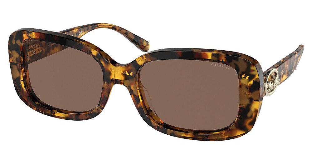 DARK TORTOISE / COACH PR / DARK BROWN SOLID