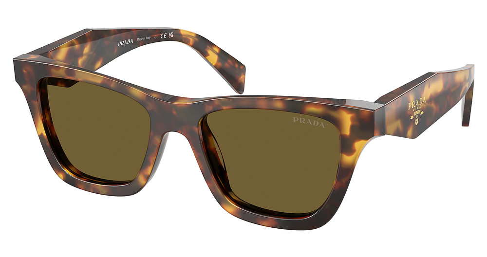 HONEY TORTOISE / DARK BROWN