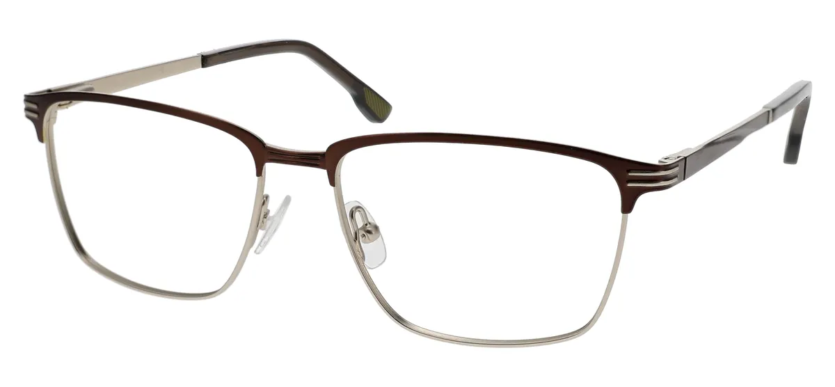 BROWN/SILVER
