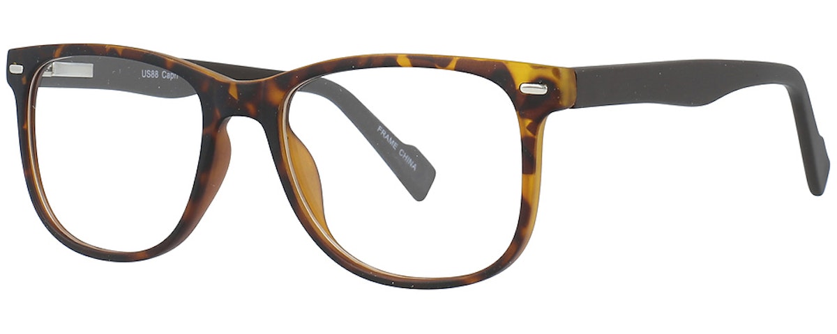 TORTOISE/BROWN