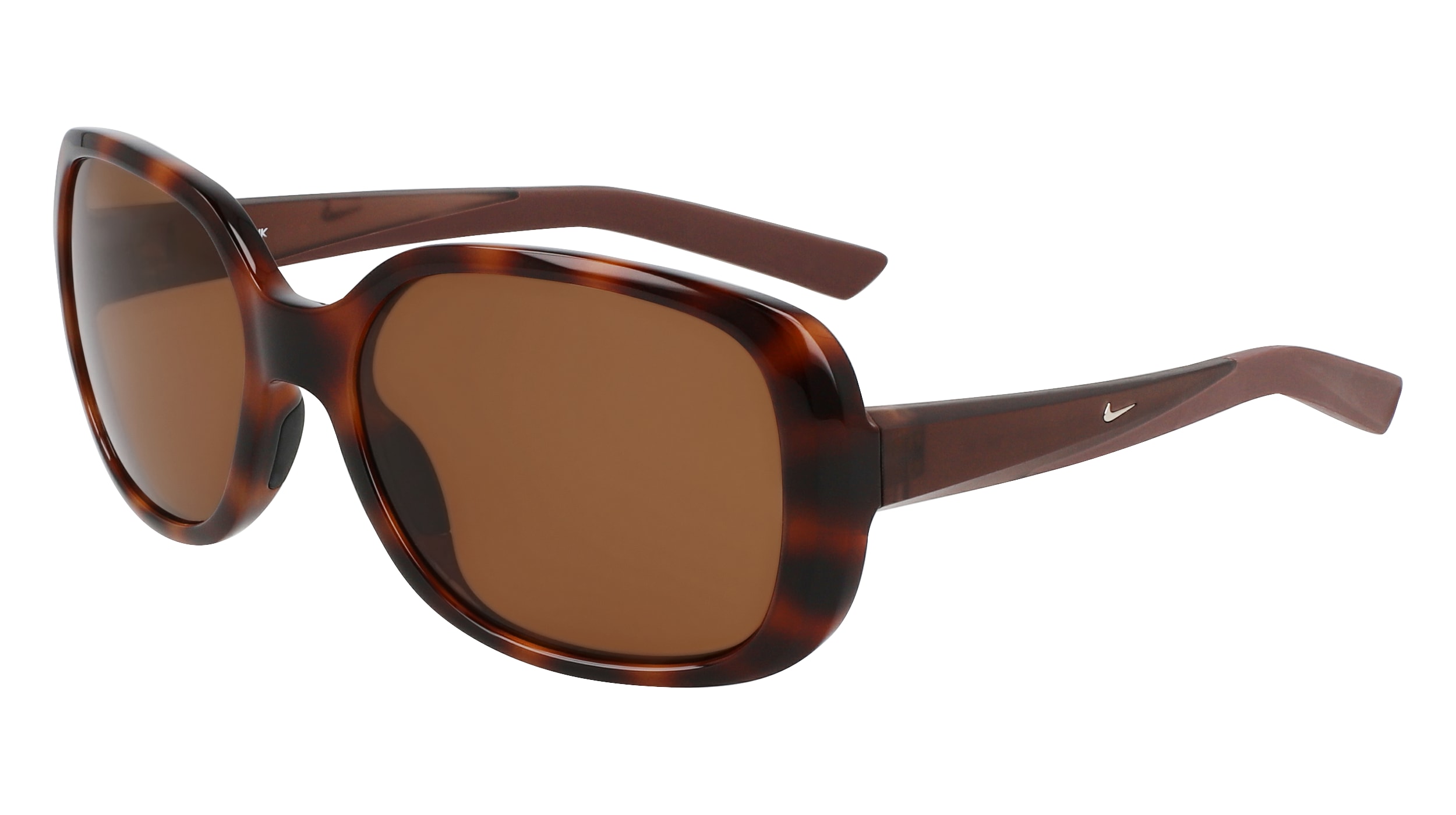 TORTOISE/BROWN