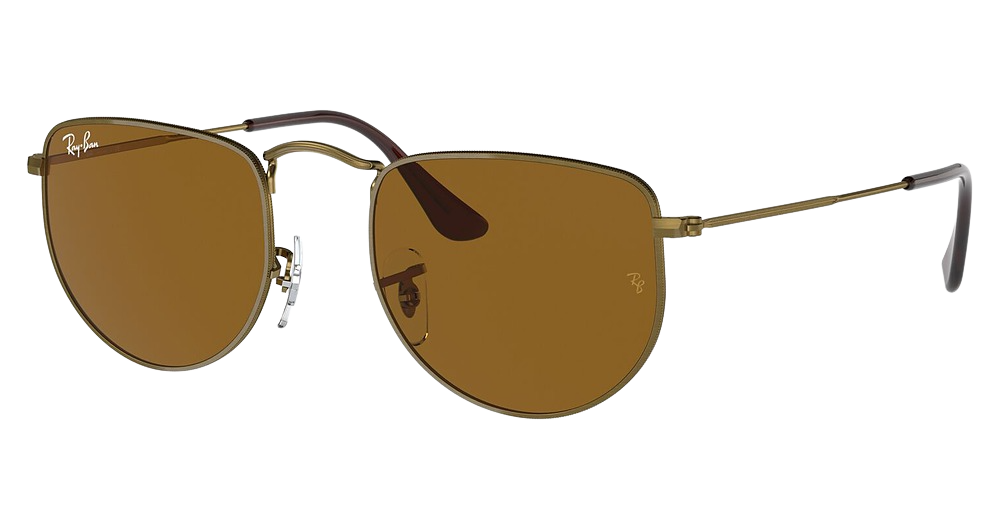Ray-Ban RB3958 ELON square sunglasses in Antique Gold/Brown