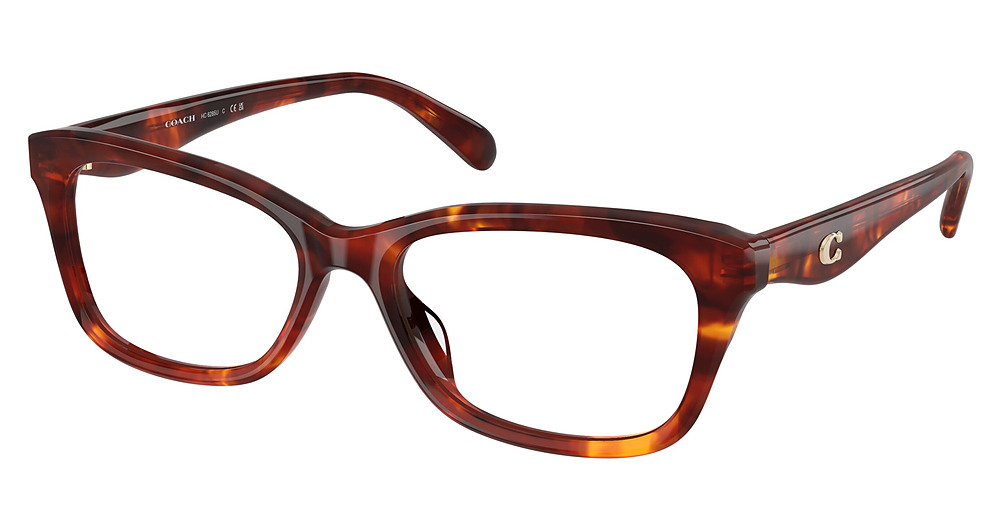 WALNUT TORTOISE