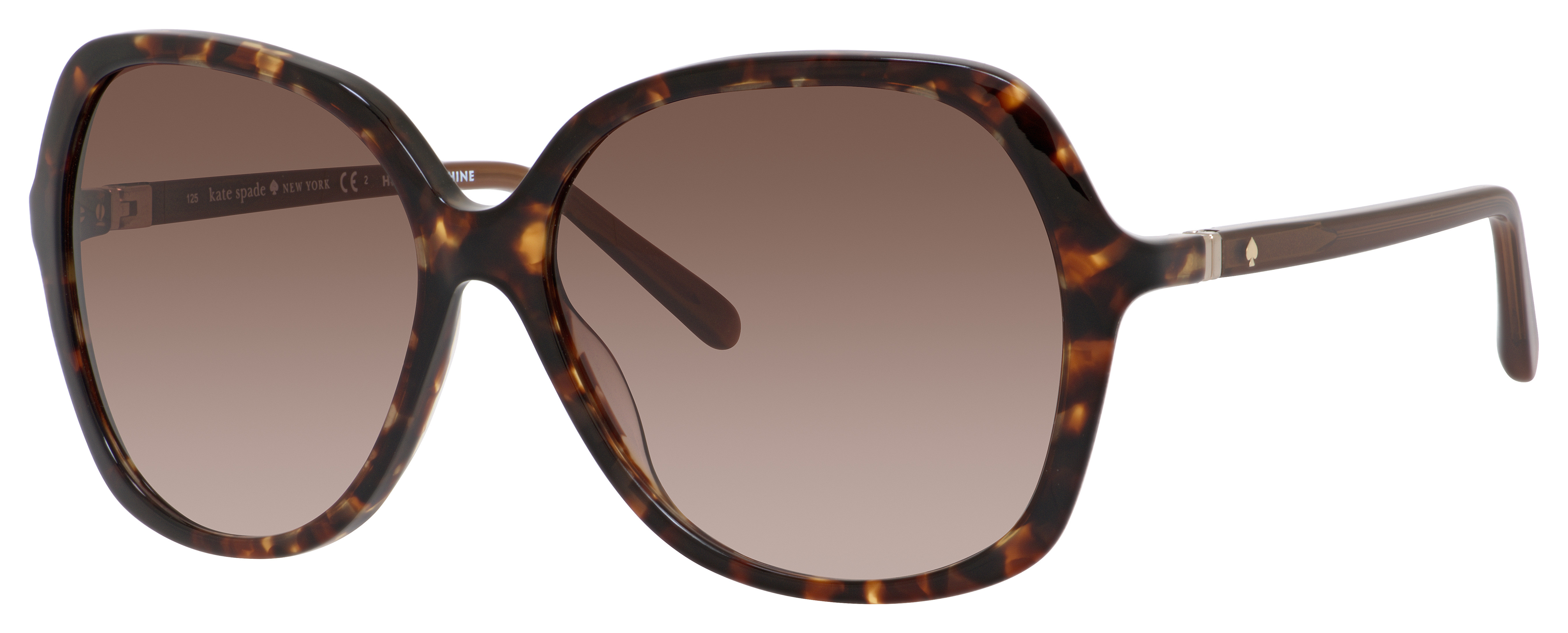 Havana Brown (B1 Warm Brown Gradient)