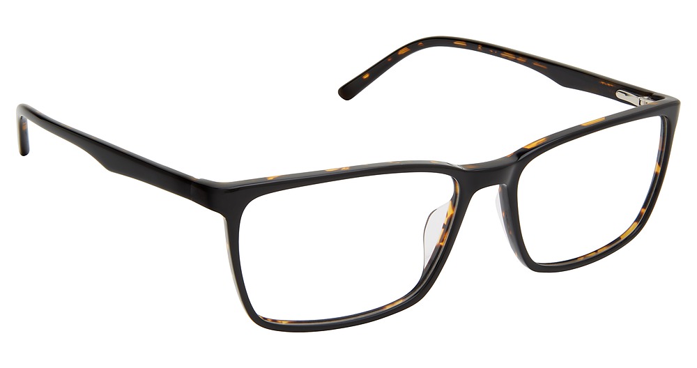 BLACK TORTOISE