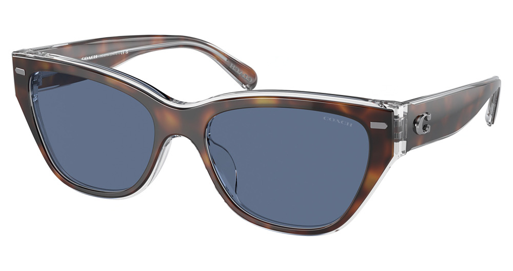 TORTOISE / TRANSPARENT B / BLUE SOLID