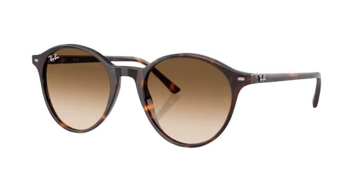 HAVANA / CLEAR GRADIENT BROWN