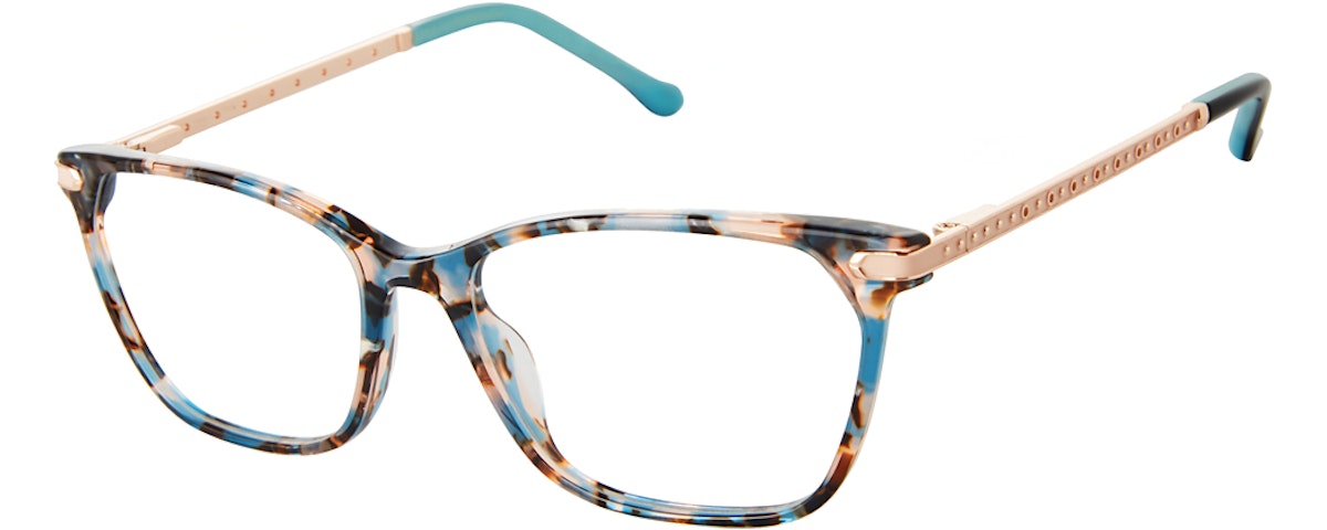 Teal Tortoise