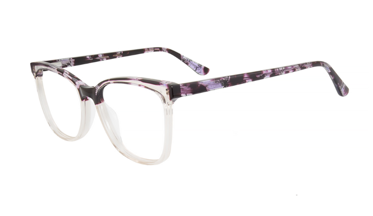 Purple Tortoise