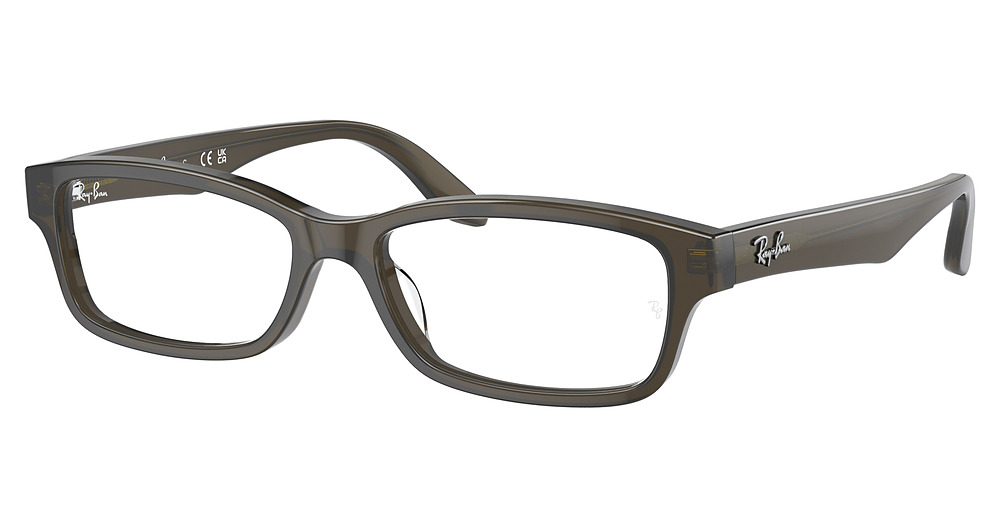 Ray-Ban RX5415D round eyeglasses in Transparent Green