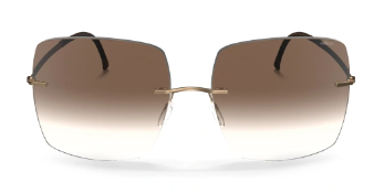 Gold / Classic Brown Gradient