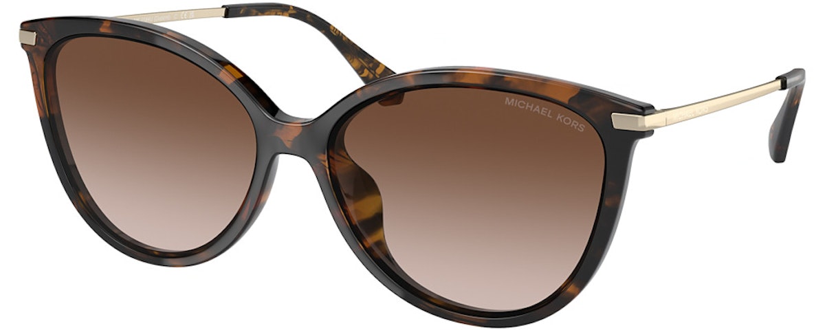 DARK TORTOISE / BROWN GRADIENT
