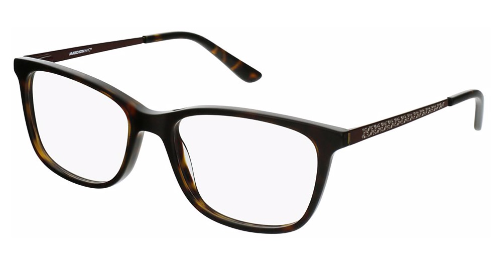 (240) SHINY TORTOISE