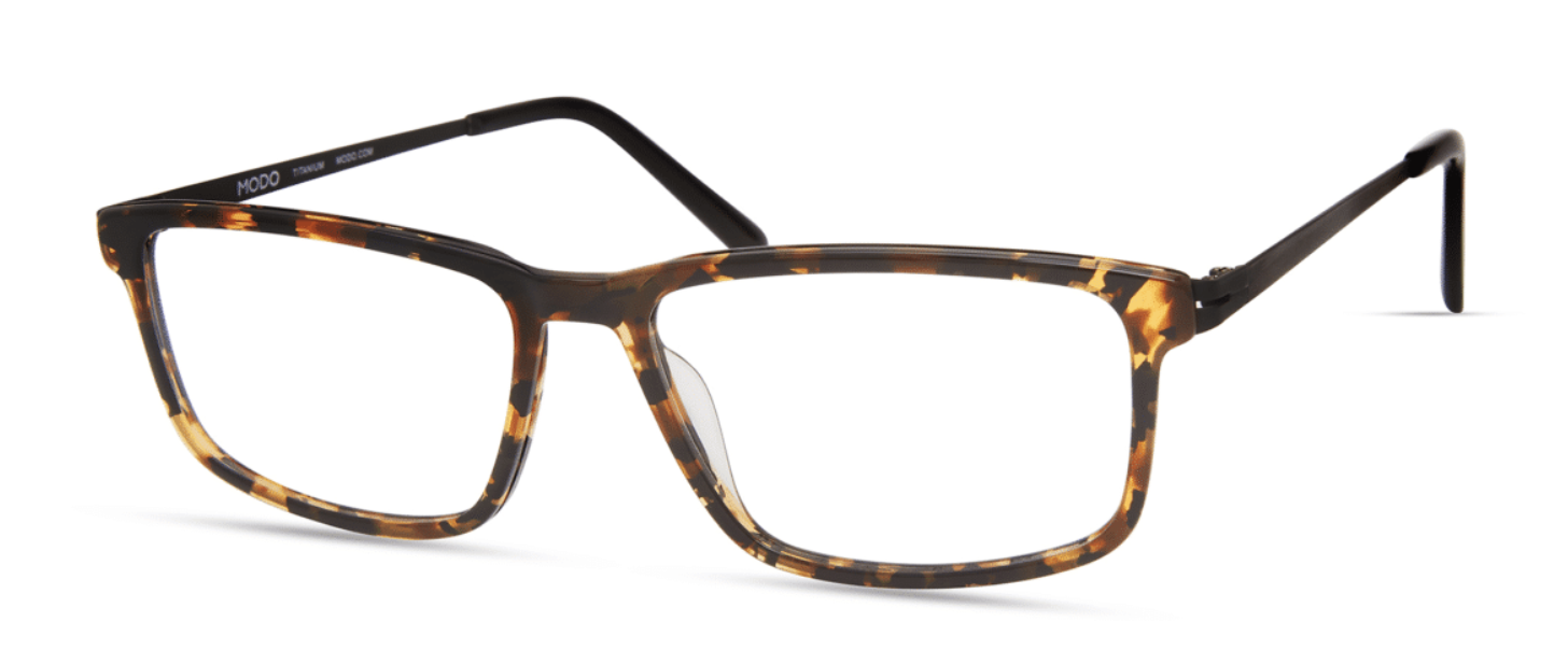 Black Yellow Tortoise
