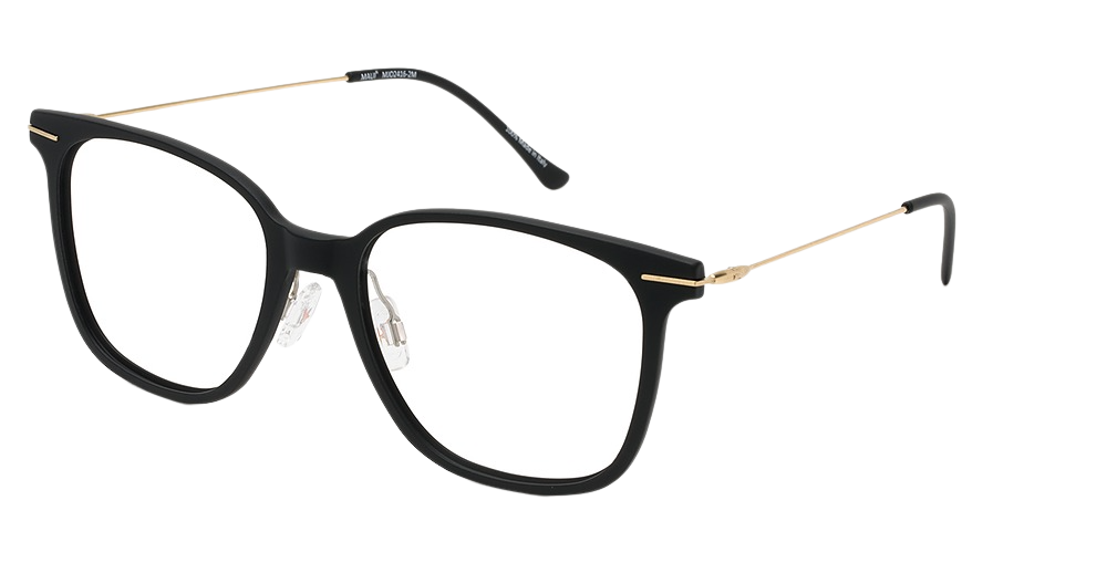 Black Matte with Gold Temples
