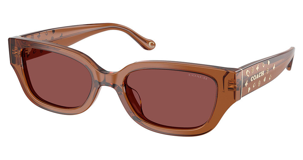 TRANSPARENT BROWN / WINE SOLID