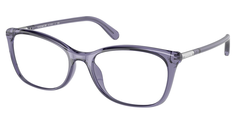 TRANSPARENT PURPLE