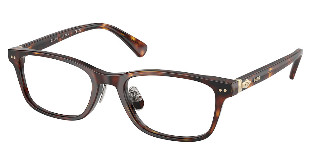SHINY BROWN TORTOISE