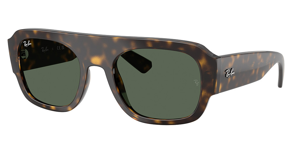 Ray-Ban RB2218 sunglasses in Havana/Green