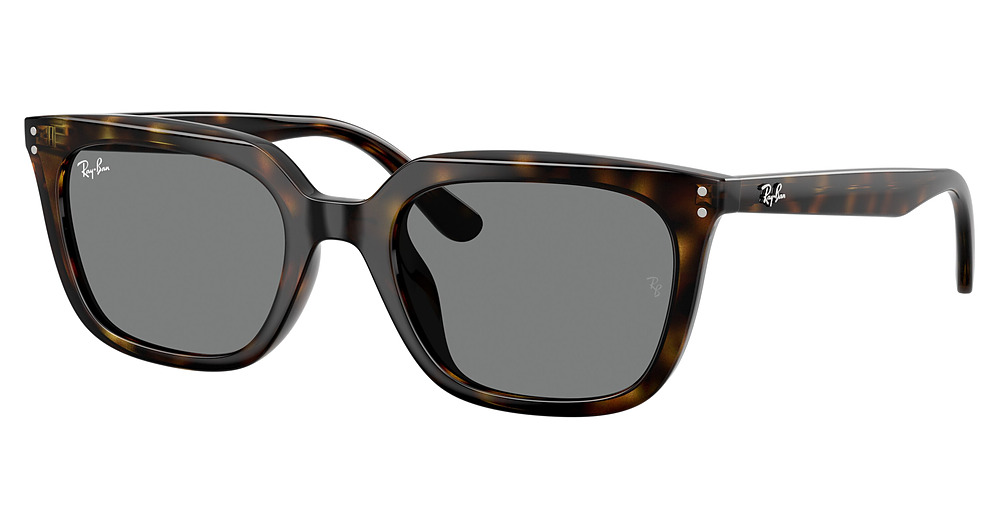 Ray-Ban RB4439D round sunglasses in Havana/Dark Grey