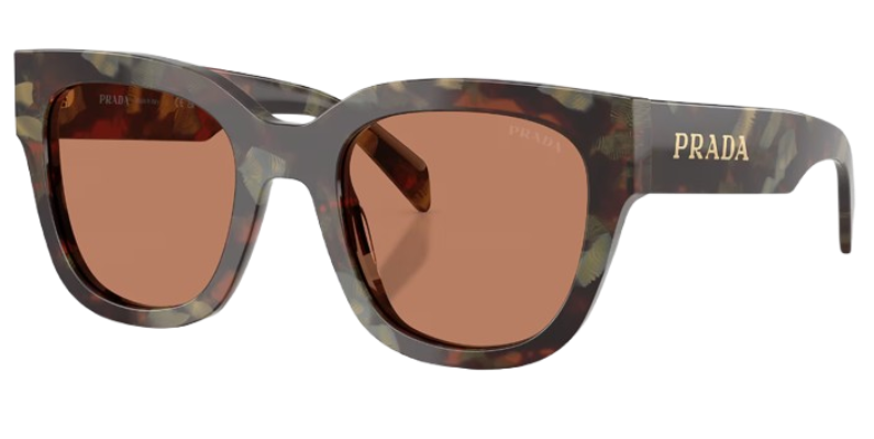 WOODS TORTOISE / BROWN