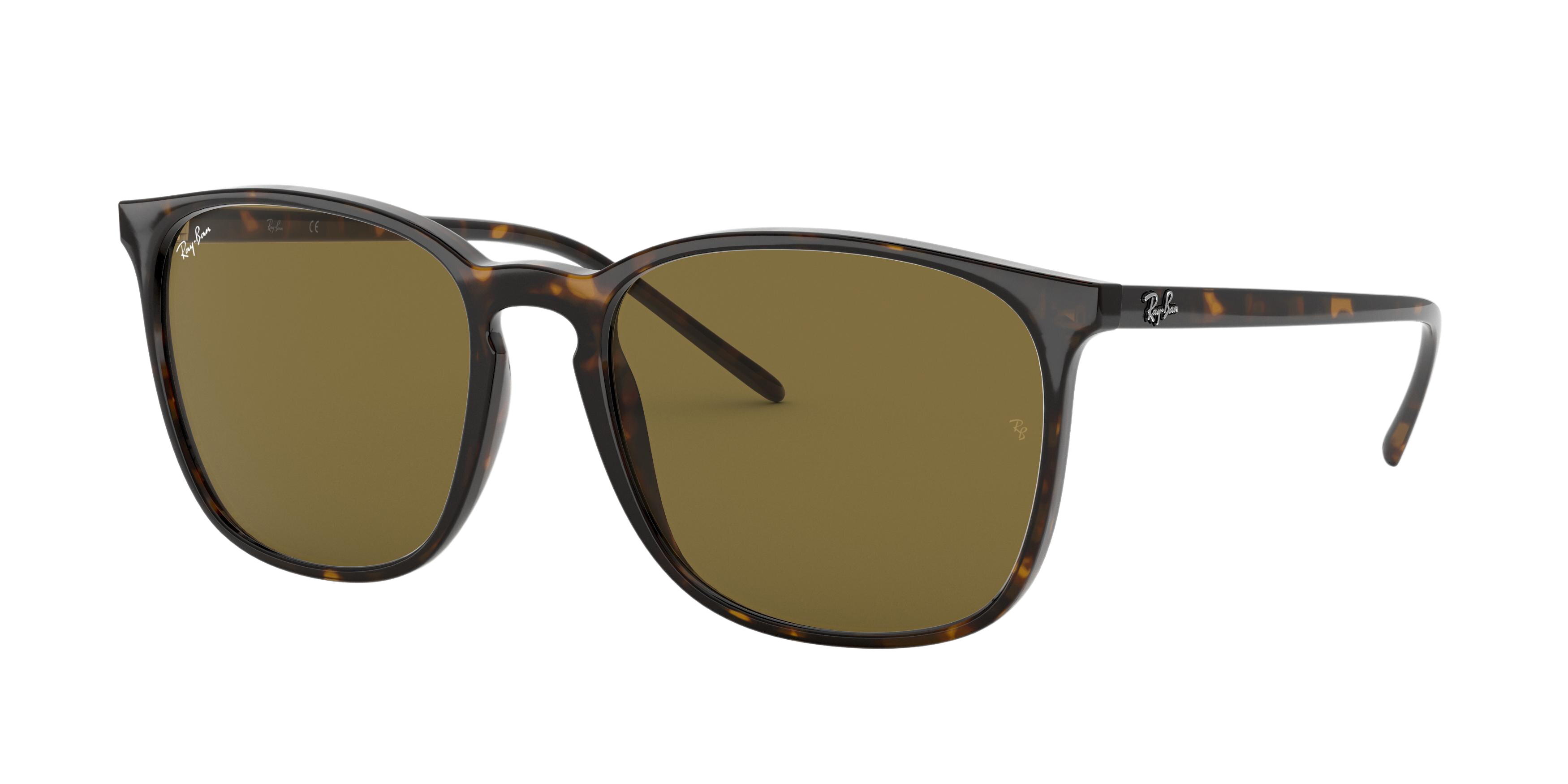 Ray-Ban RB4387F square sunglasses in Havana