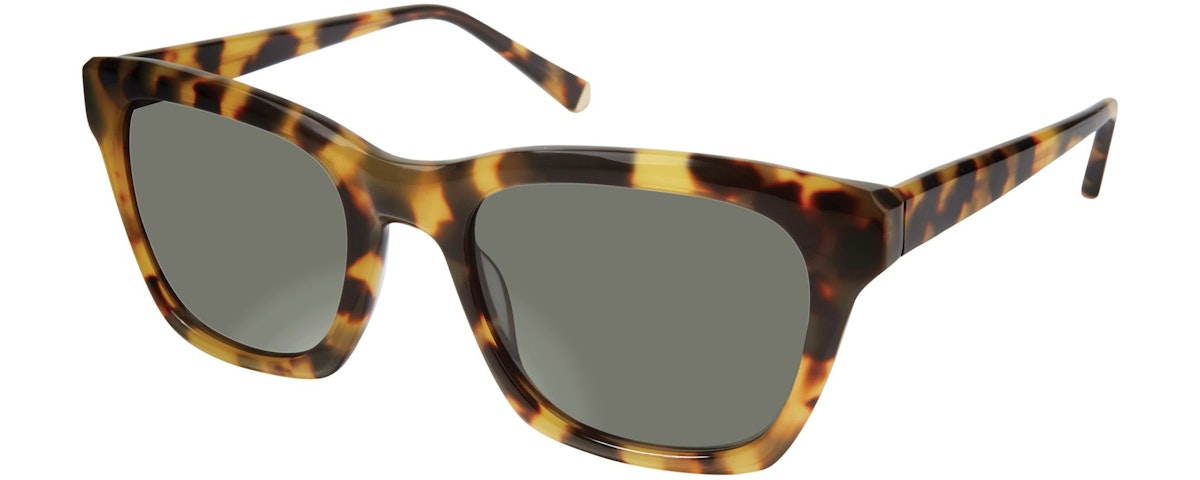 Tokyo Tortoise