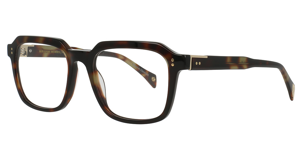 TORTOISE DARK SHINY