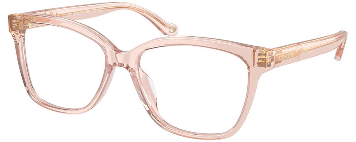 TRANSPARENT DUSTY ROSE