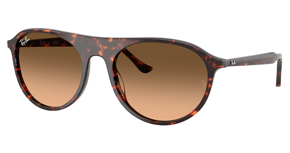 Ray-Ban RB2215F round sunglasses in Havana Red Turle/Pink Gradient Black