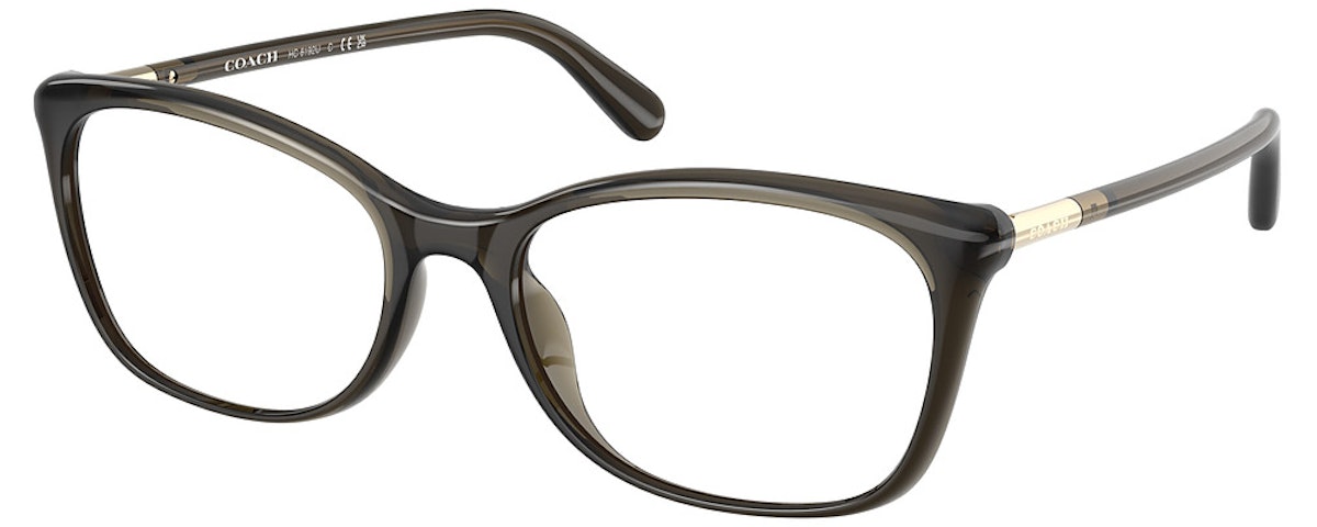 TRANSPARENT OLIVE