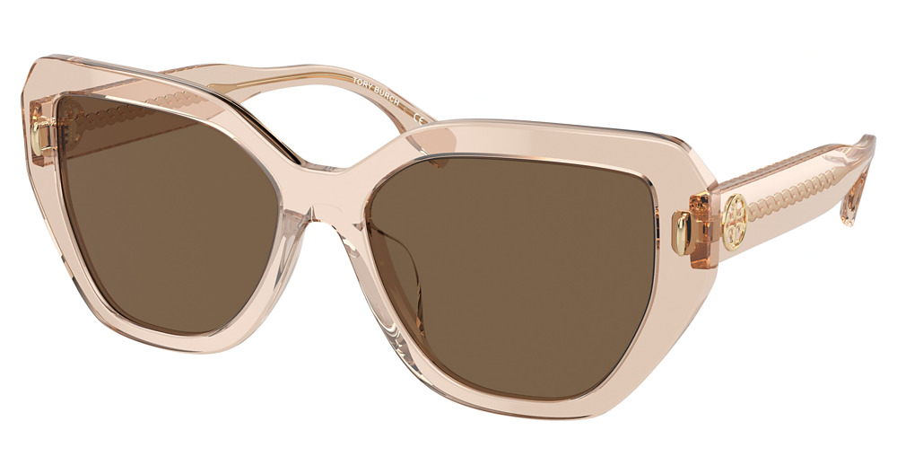 TRANSPARENT BROWN / VIOLET