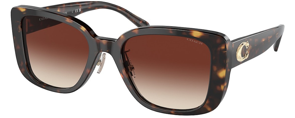 DARK TORTOISE / DARK BROWN GRADIENT