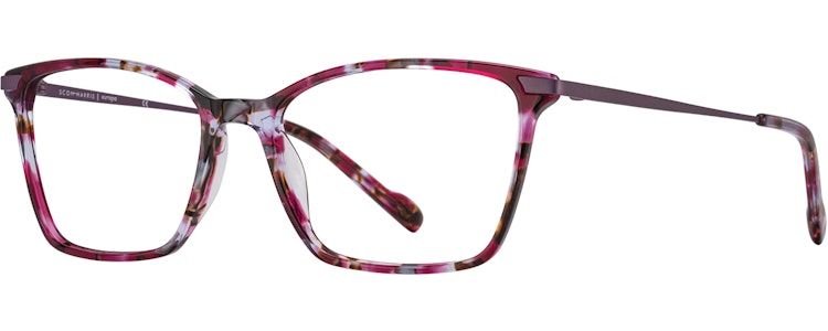 Plum Tort / Amethyst