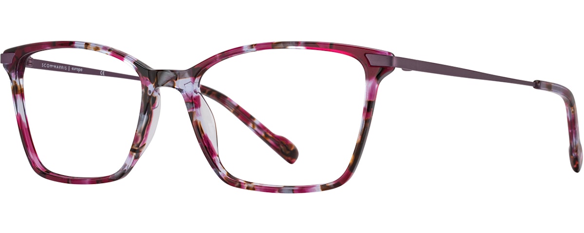 Plum Tort / Amethyst