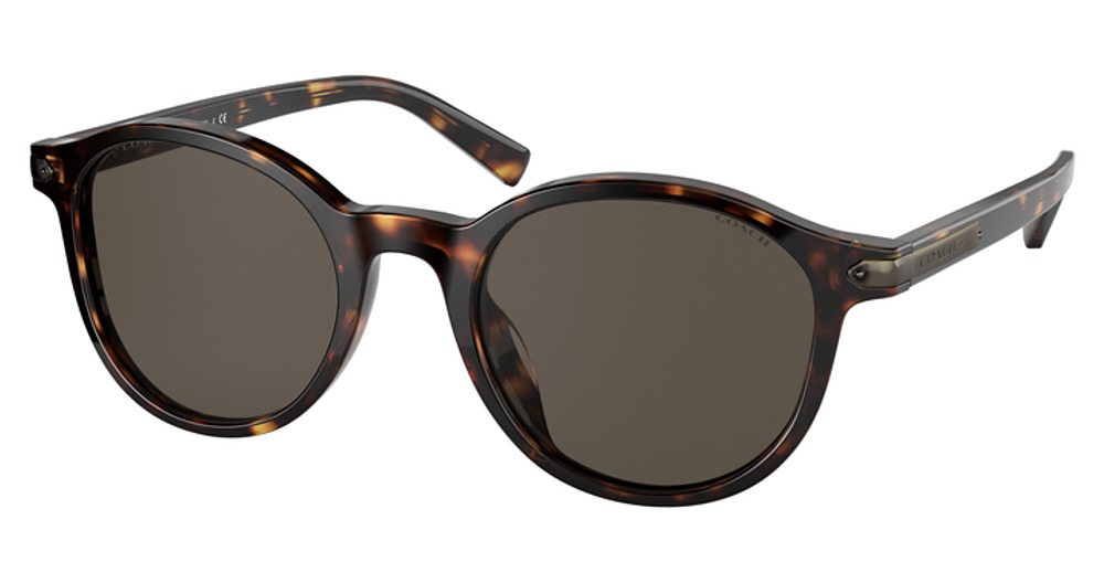 DARK TORTOISE / BROWN SOLID