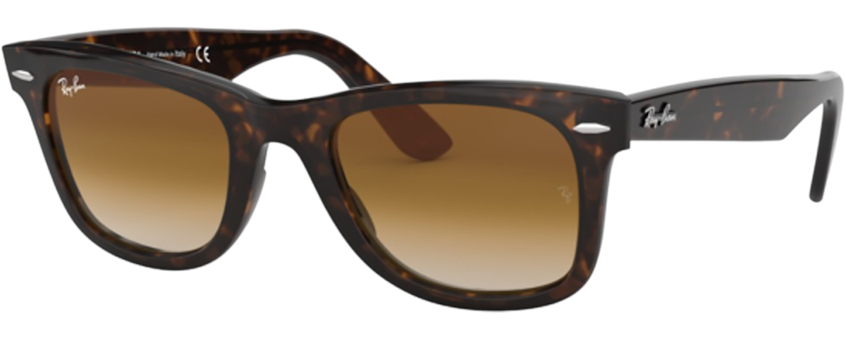 TORTOISE / CLEAR GRADIENT BROWN