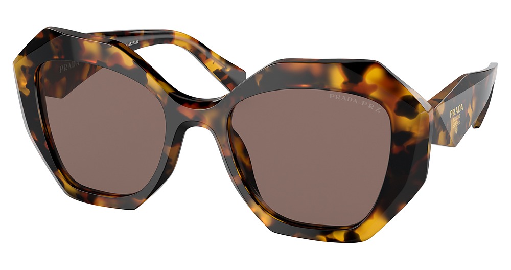 HONEY TORTOISE / POLAR LIGHT BROWN