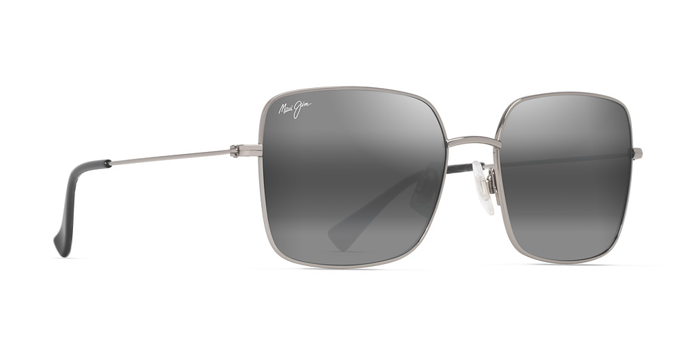 Shiny Silver / Neutral Grey