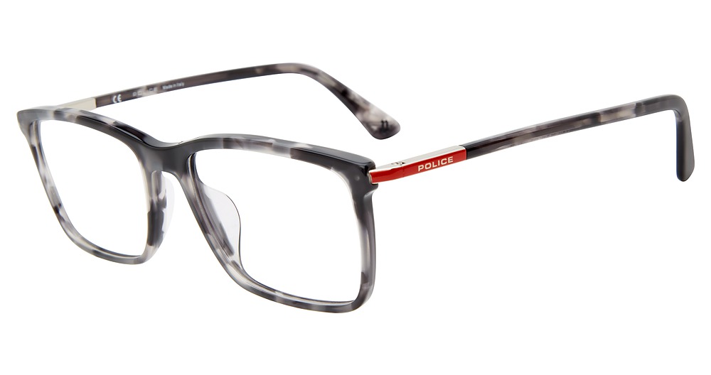 Grey Tortoise 0793
