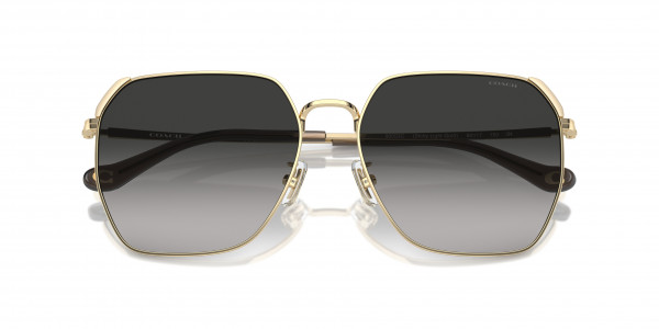 SHINY LIGHT GOLD / GREY GRADIENT