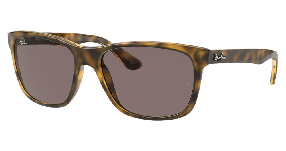 Ray-Ban RB4181 RB4181 round sunglasses in Light Havana/Violet