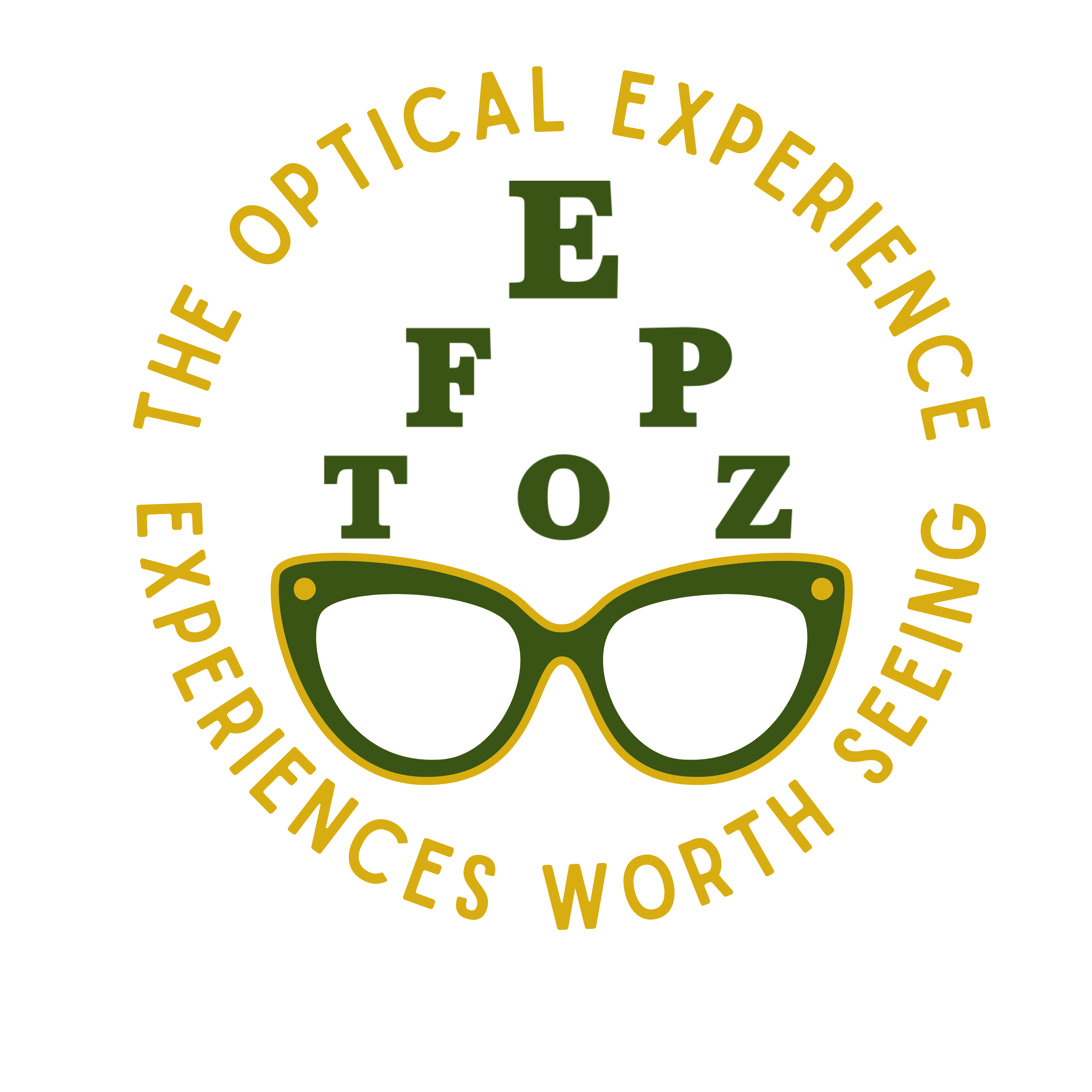 The Optical Experience