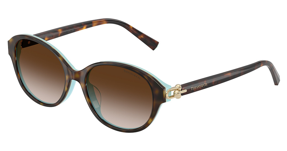 HAVANA ON TIFFANY BLUE / BROWN GRADIENT