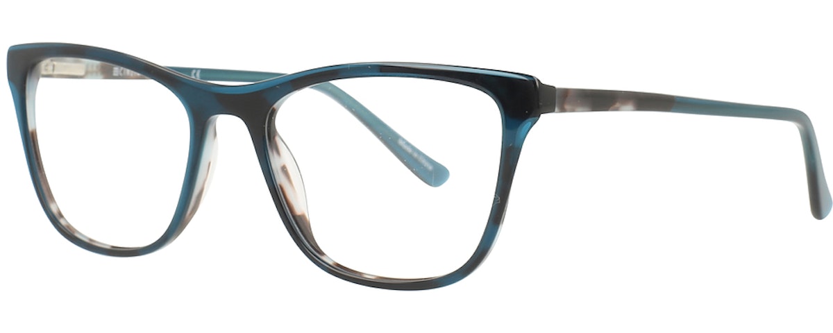 Teal Tortoise
