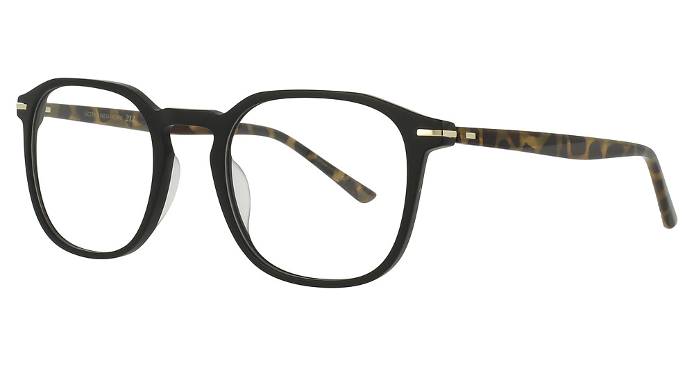 BLACK TORTOISE