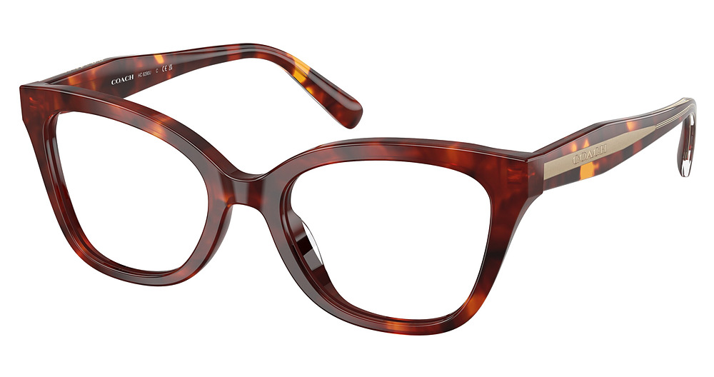 WALNUT TORTOISE