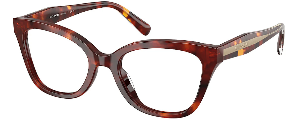 WALNUT TORTOISE
