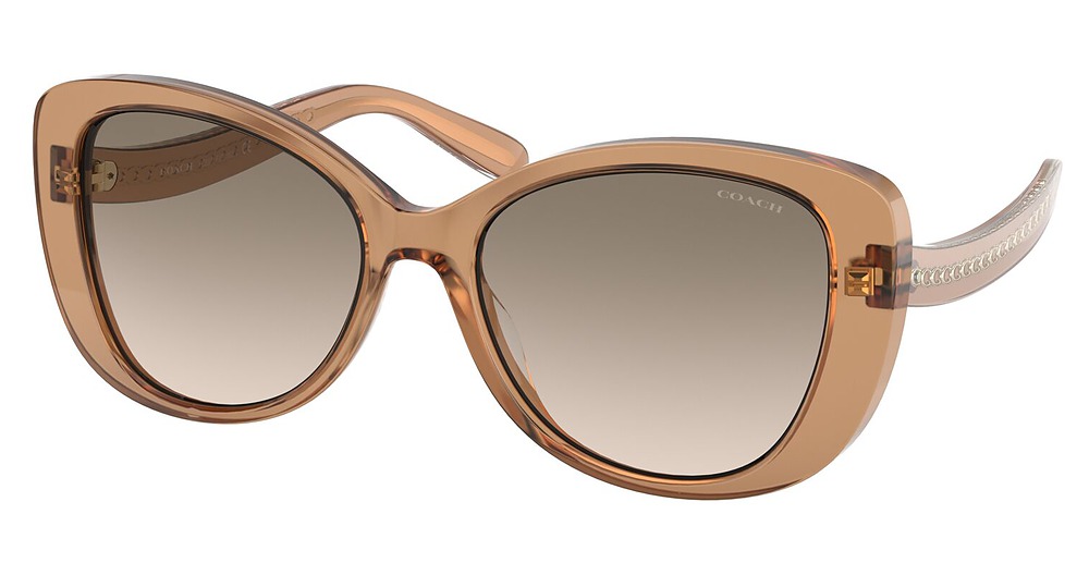 TRANSPARENT BROWN / LIGHT BROWN GREY GRADIENT